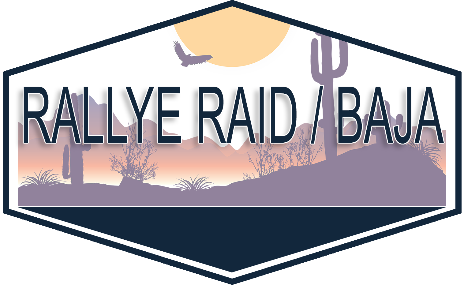 Catégorie: RALLYE RAID et BAJA